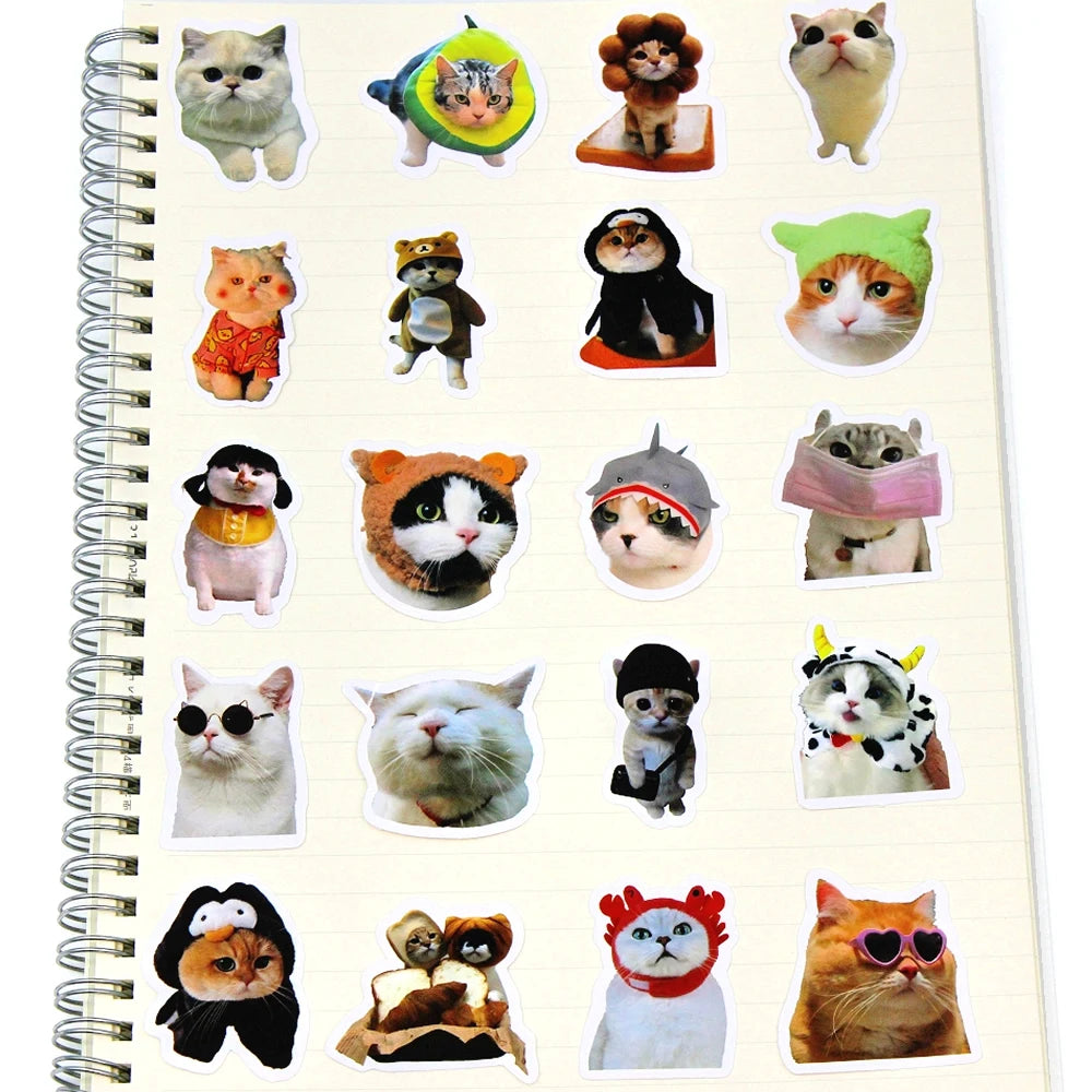 S32d141be15e641c1901d4bb8a18a3875X